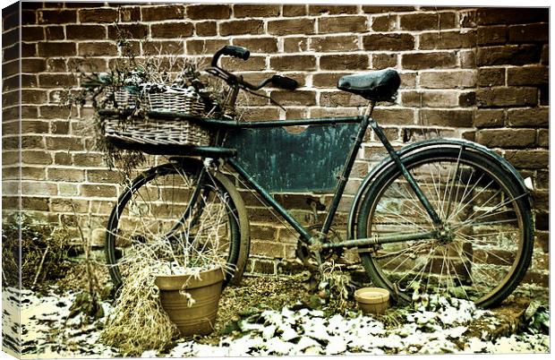 The Old Bike Canvas Print by Scott Anderson