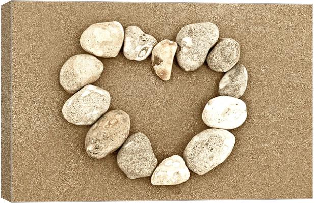 Pebble Heart Canvas Print by Scott Anderson