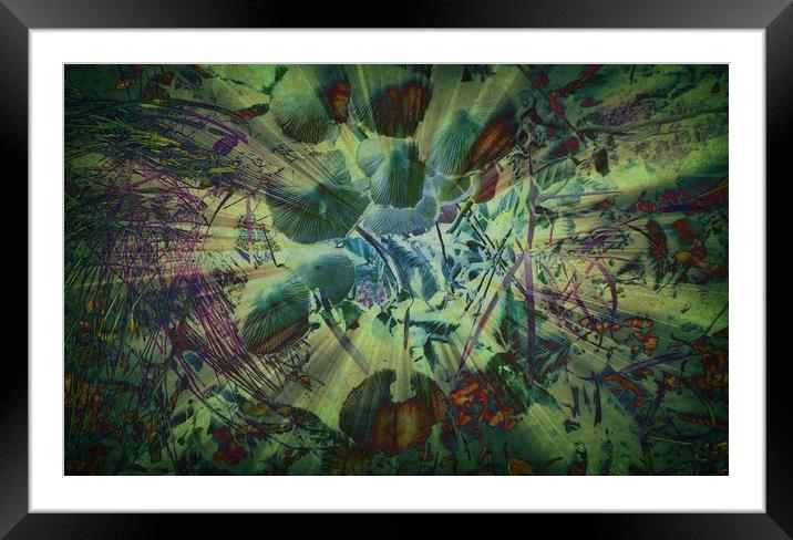 Toadstool Soup. Framed Mounted Print by Heather Goodwin