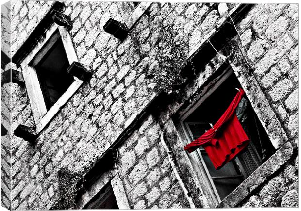 Red Washing Canvas Print by Scott Anderson