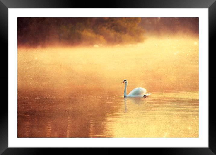All is Calm Framed Mounted Print by Dawn Cox