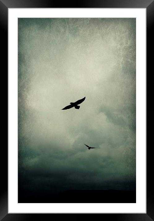 Fly Away Framed Mounted Print by Iona Newton