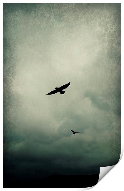Fly Away Print by Iona Newton
