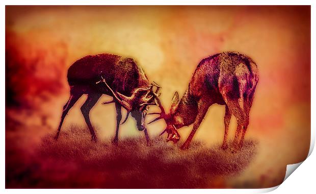Stags In The Mist Print by Tony Fishpool