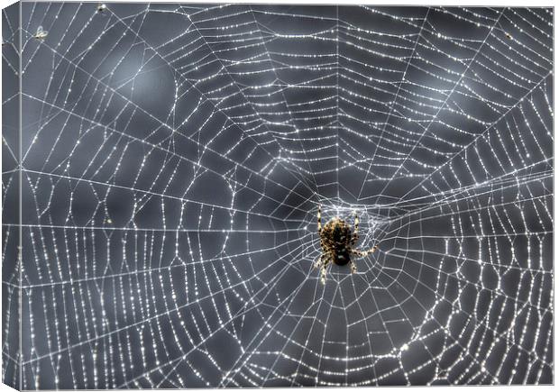 Tangled Web Weaved Canvas Print by Gurinder Punn