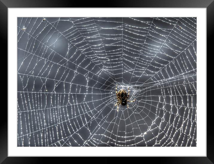 Tangled Web Weaved Framed Mounted Print by Gurinder Punn