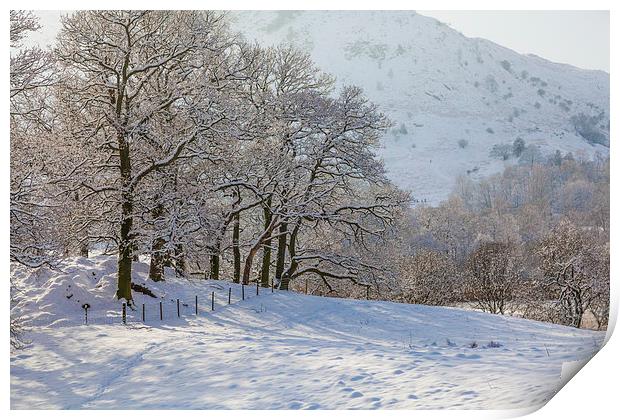 Sunshine snow Print by Gary Finnigan