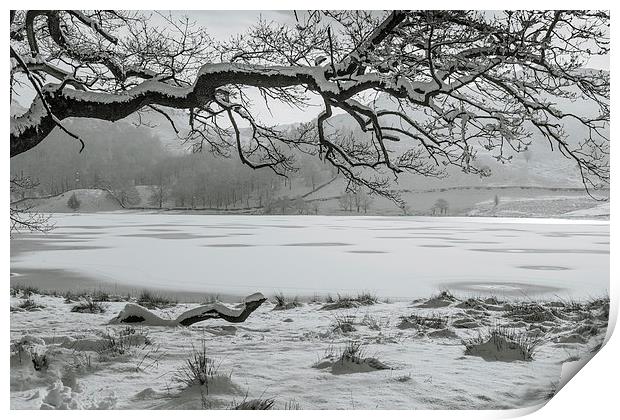 Frozen lake Print by Gary Finnigan
