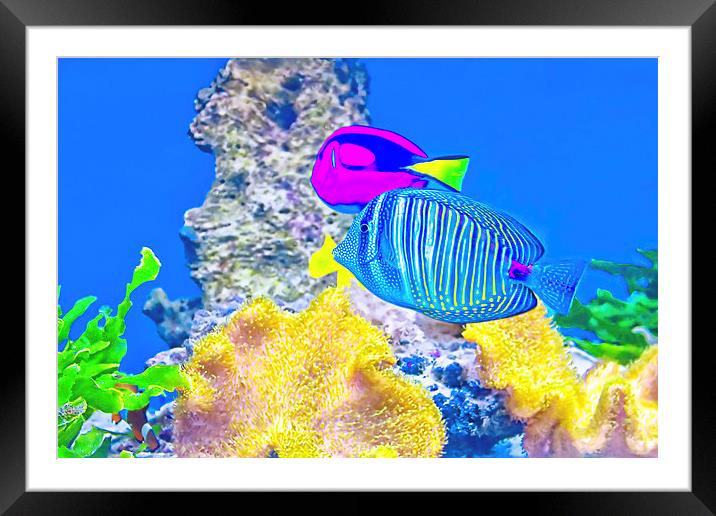 coral fishes Framed Mounted Print by Dragomir Nikolov