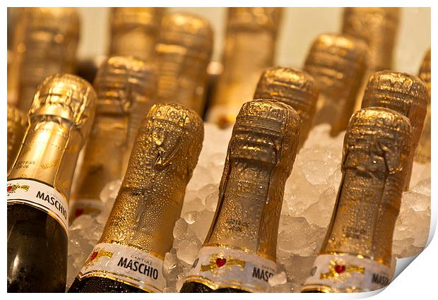 Bottles of Prosecco on ice Print by Steve Hughes