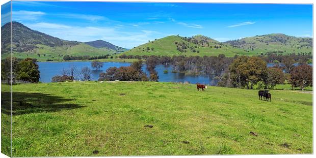 Hume Wier - Tallangatta Valley Canvas Print by Mark Lucey