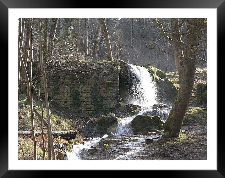 Hermitage waterfall Framed Mounted Print by Coral Luke