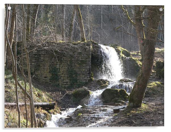 Hermitage waterfall Acrylic by Coral Luke