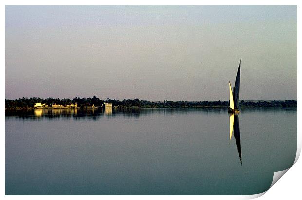 JST2413 River Nile, early morning Print by Jim Tampin