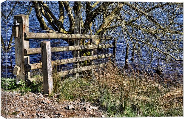 Road to nowhere at Llyn Brenig reservoir Canvas Print by Frank Irwin