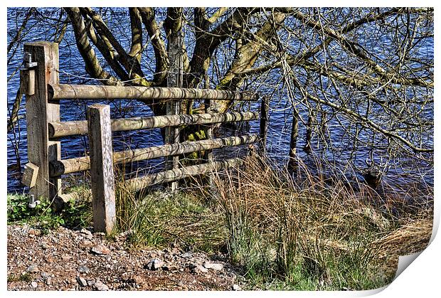 Road to nowhere at Llyn Brenig reservoir Print by Frank Irwin