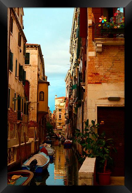 Venice Framed Print by barbara walsh