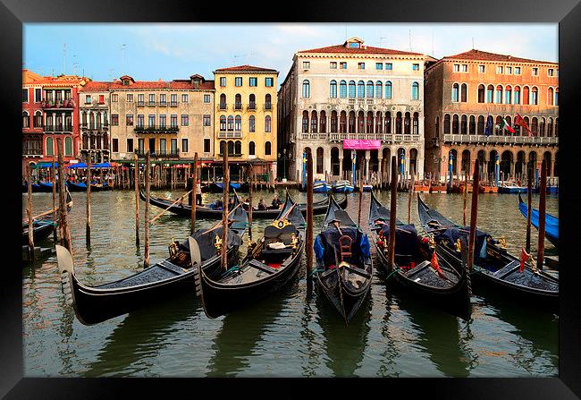 Gondolas in Venice Framed Print by barbara walsh