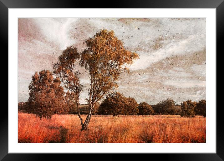 Ryton Willows Framed Mounted Print by Ray Pritchard