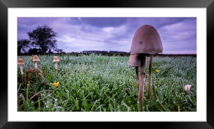 Dew at Dawn Framed Mounted Print by Phil Wareham