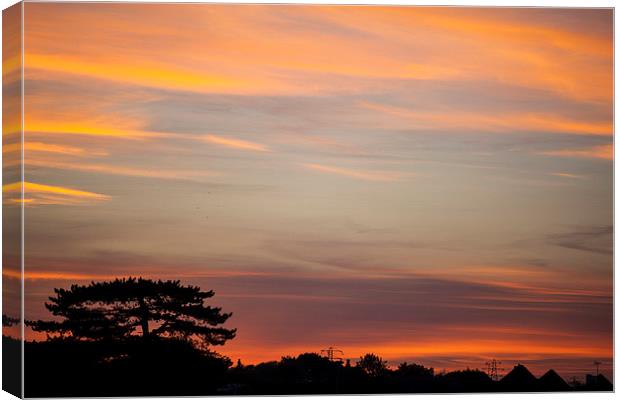 Sunset From My Window Canvas Print by David Shackle