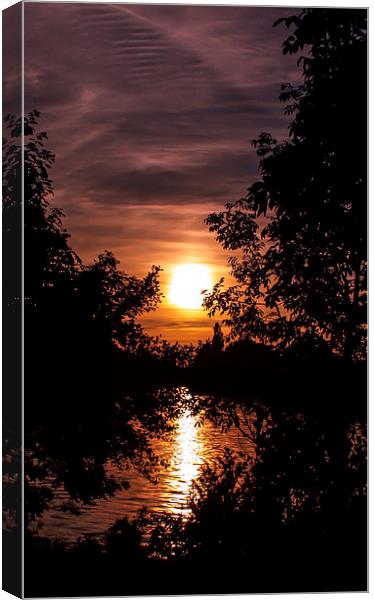 Sunset Through The Trees Canvas Print by Tony Fishpool