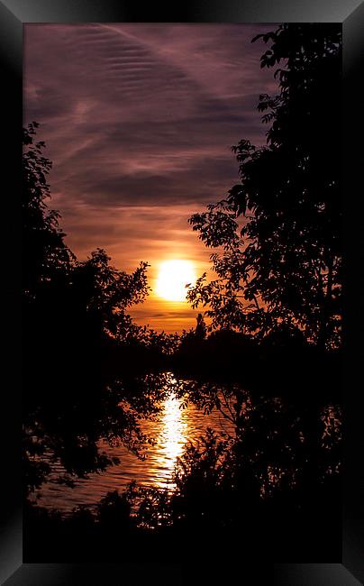 Sunset Through The Trees Framed Print by Tony Fishpool