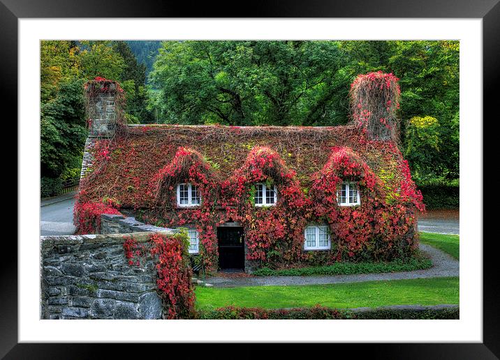Autumn Cottage Framed Mounted Print by Ian Mitchell