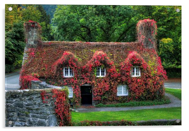 Autumn Cottage Acrylic by Ian Mitchell