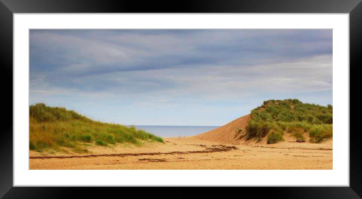 scottish beach Framed Mounted Print by dale rys (LP)