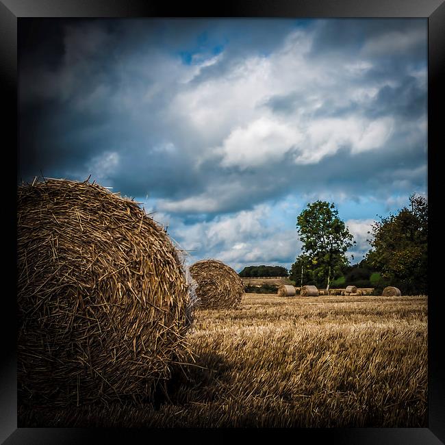 Autumn Harvest II Framed Print by Anne Whiteside