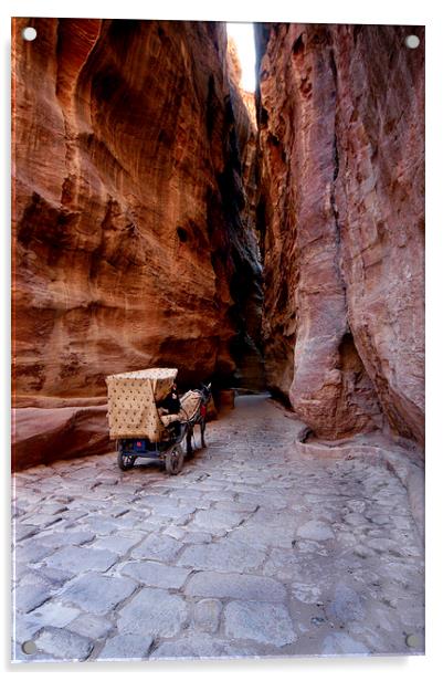 JST2022 The Natural Gorge, Petra Acrylic by Jim Tampin