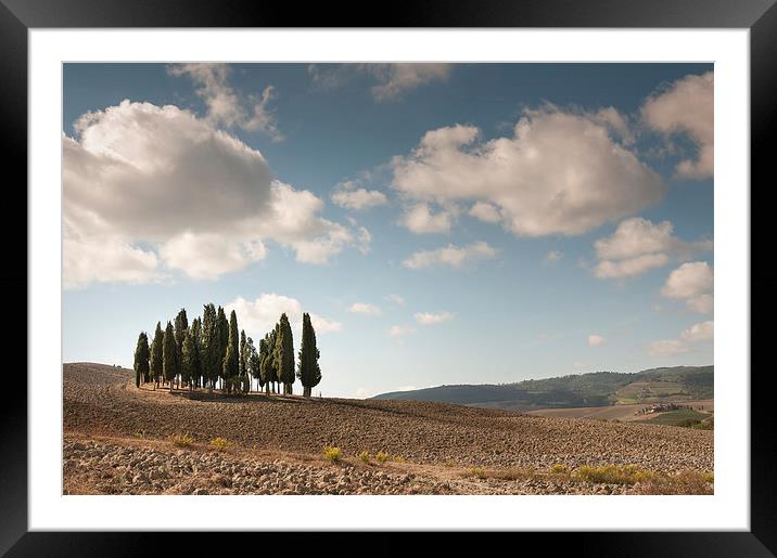 Cyprus trees in Tuscany Framed Mounted Print by Stephen Mole