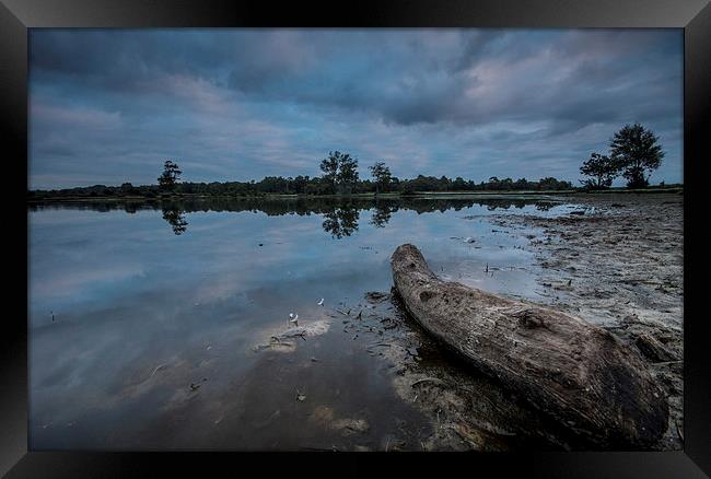 Beached Framed Print by Phil Wareham