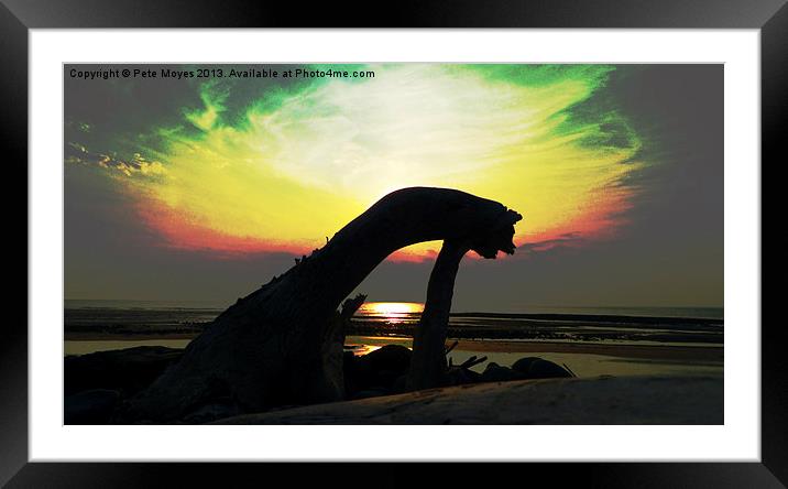 Driftwood # 5 Framed Mounted Print by Pete Moyes