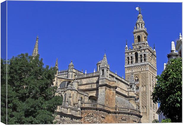 Seville Cathedral Canvas Print by Tony Murtagh