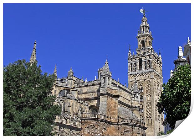 Seville Cathedral Print by Tony Murtagh