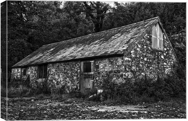 The old tool shed Canvas Print by Steven Dunn-Sims