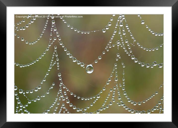 Morning jewels Framed Mounted Print by Jim Alford