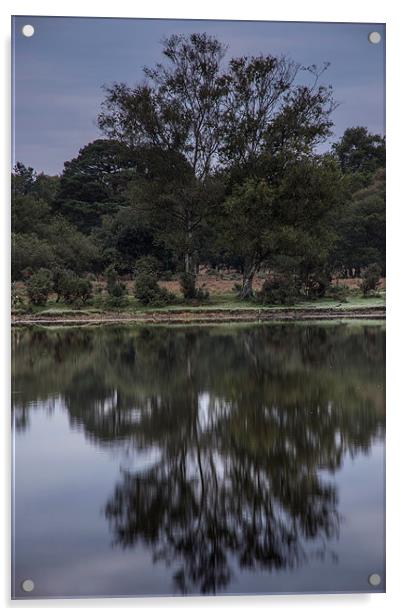 Whitten Pond Burley Acrylic by Phil Wareham