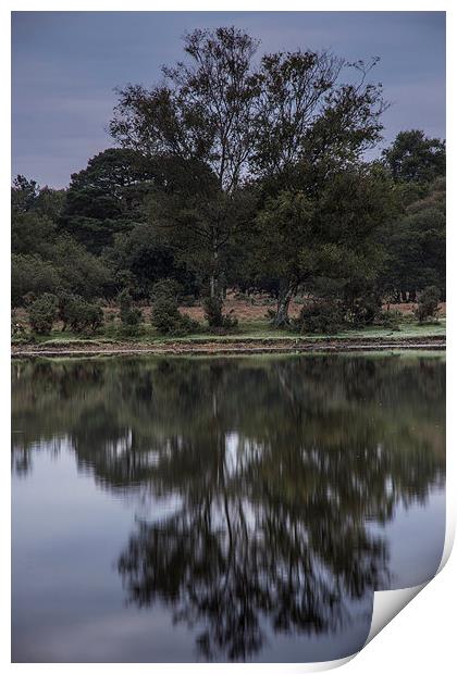 Whitten Pond Burley Print by Phil Wareham