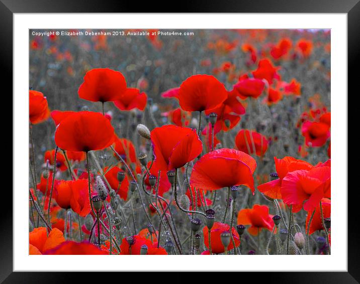 Red Poppies Framed Mounted Print by Elizabeth Debenham