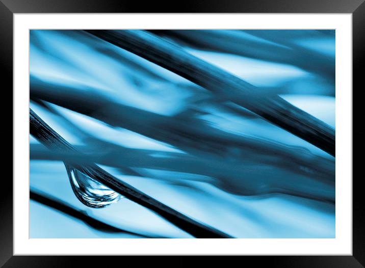 Grass and Raindrop Abstract in Blue Framed Mounted Print by Natalie Kinnear