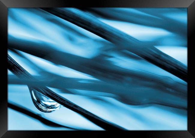 Grass and Raindrop Abstract in Blue Framed Print by Natalie Kinnear