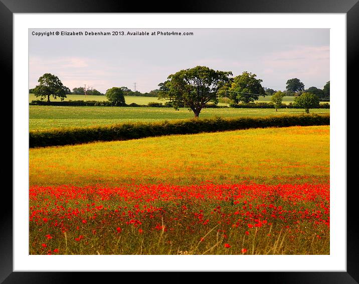 Red Poppies and Green Fields Framed Mounted Print by Elizabeth Debenham