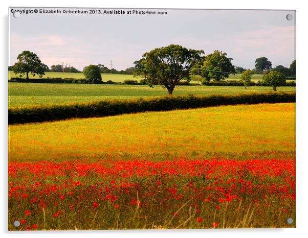 Red Poppies and Green Fields Acrylic by Elizabeth Debenham