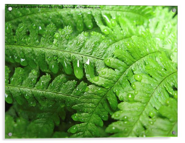 Green Bracken with  Raindrops Acrylic by Elizabeth Debenham