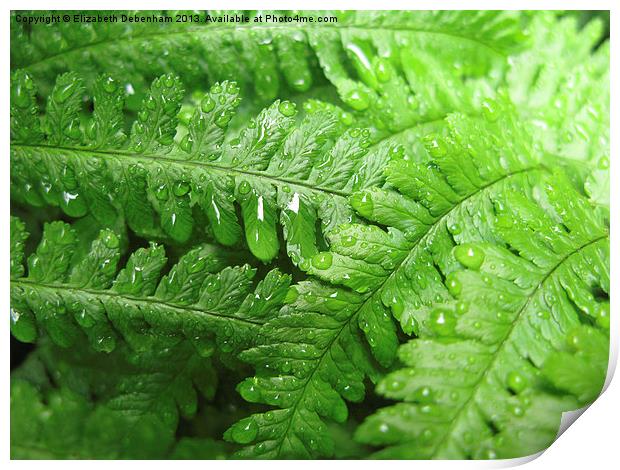 Green Bracken with  Raindrops Print by Elizabeth Debenham