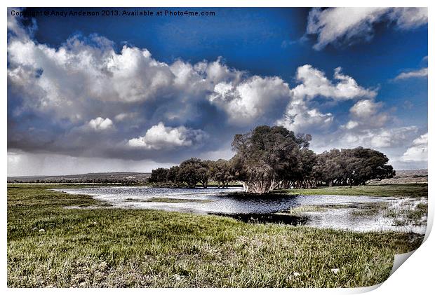 West Australia Bush Scene Print by Andy Anderson