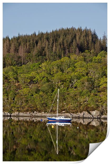 Sailing boat reflections on loch Sunart Print by Dan Ward